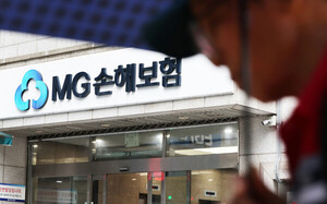 '1조원 지원'에 몰린 금융사들...예별손보 '가성비 M&A'의 이면 - 뉴스 썸네일 이미지